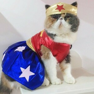 Fundraising Page: Kerry Garcia